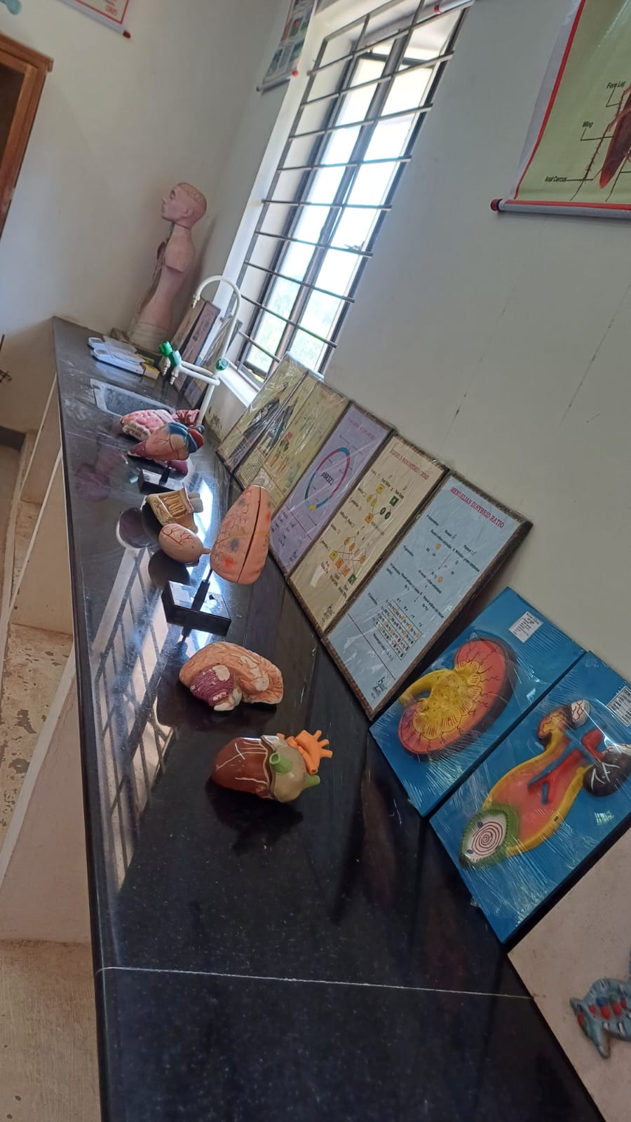 Laboratory Image 4